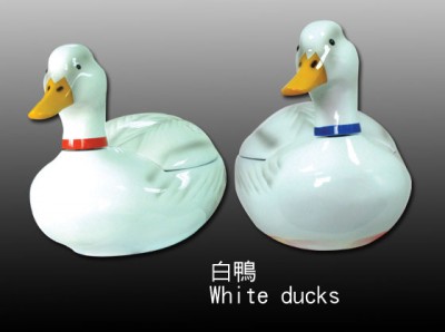n White ducks