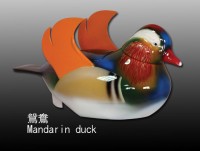 pm Mandarin duck
